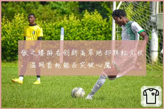 张之臻排名创新高草地却颗粒无收，温网首轮能否突破心魔？