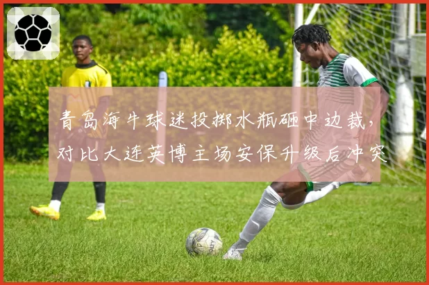 青岛海牛球迷投掷水瓶砸中边裁，对比大连英博主场安保升级后冲突事件锐减