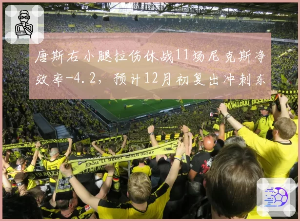 唐斯右小腿拉伤休战11场尼克斯净效率-4.2,预计12月初复出冲刺东部前三