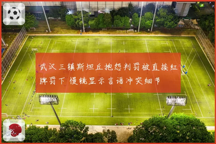 武汉三镇斯坦丘抱怨判罚被直接红牌罚下 慢镜显示言语冲突细节