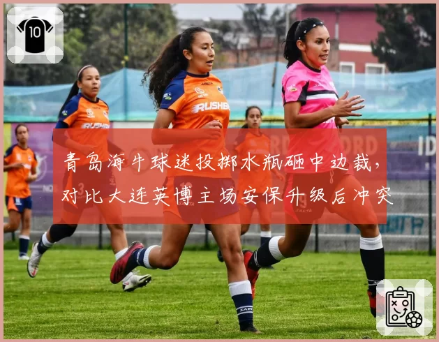青岛海牛球迷投掷水瓶砸中边裁，对比大连英博主场安保升级后冲突事件锐减