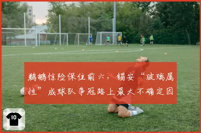 鹈鹕惊险保住前六,锡安“玻璃属性”成球队争冠路上最大不确定因素