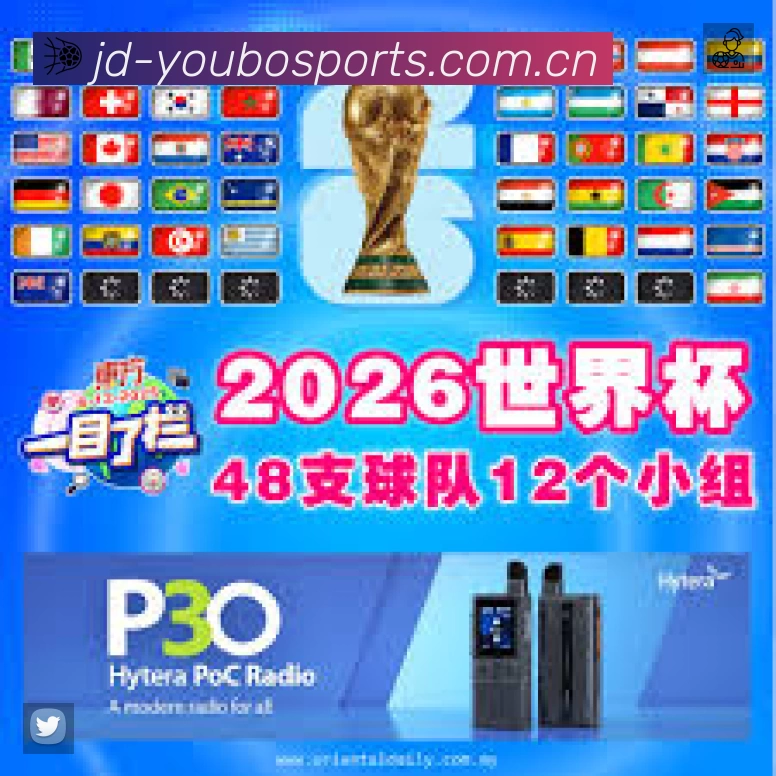 友博体育平台展示图